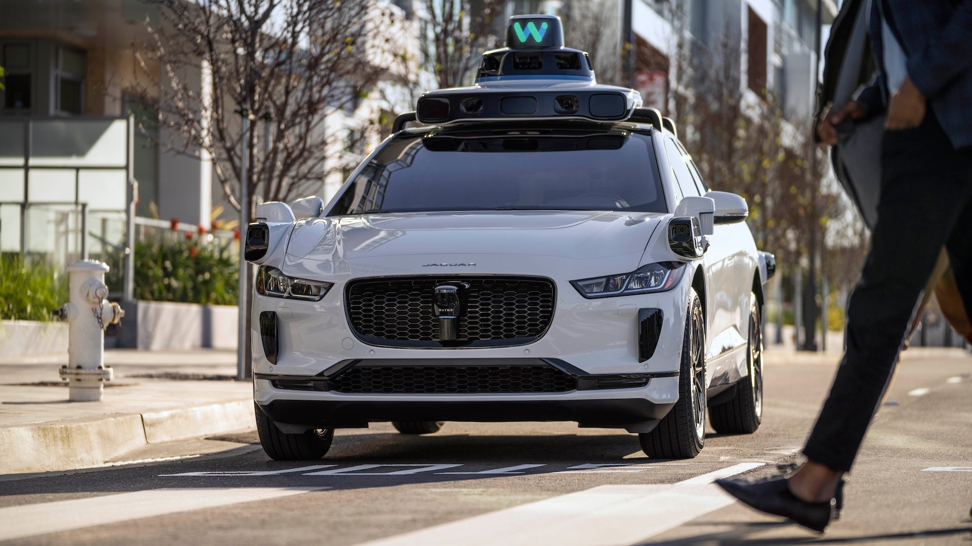 Waymo robotaxi cruises the streets