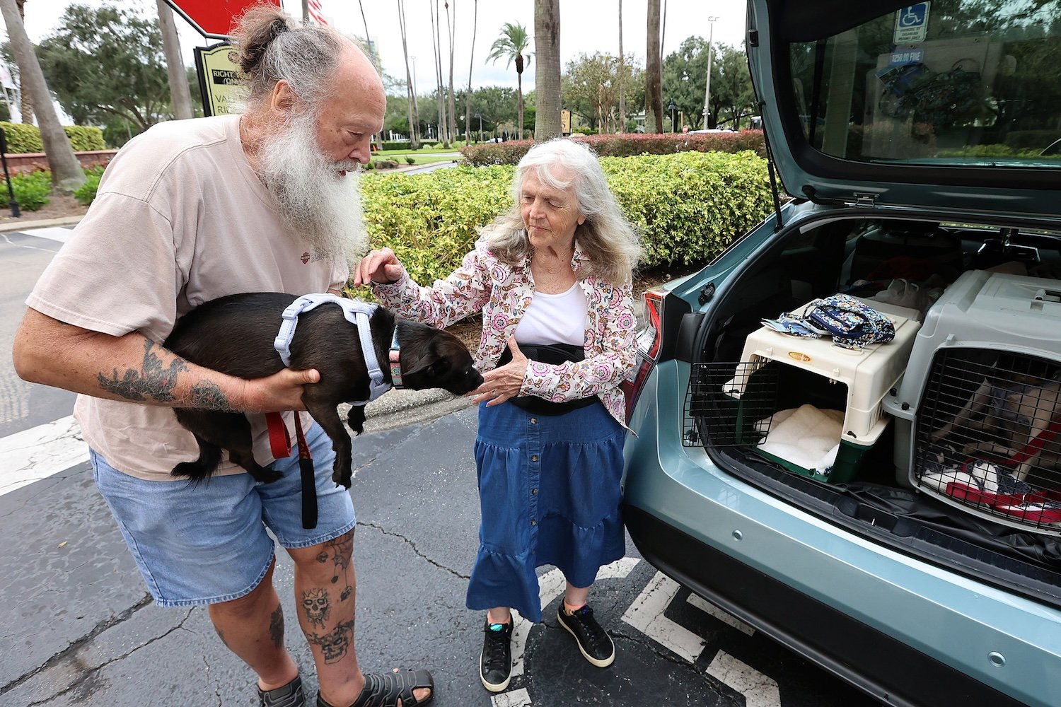 Evacuating from the likely path of Hurricane Milton, Rex and Ruby Thacher bring their dogs Lulu and Zoey to the Rosen Centre Hotel in Orlando on Monday, Oct. 7, 2024.