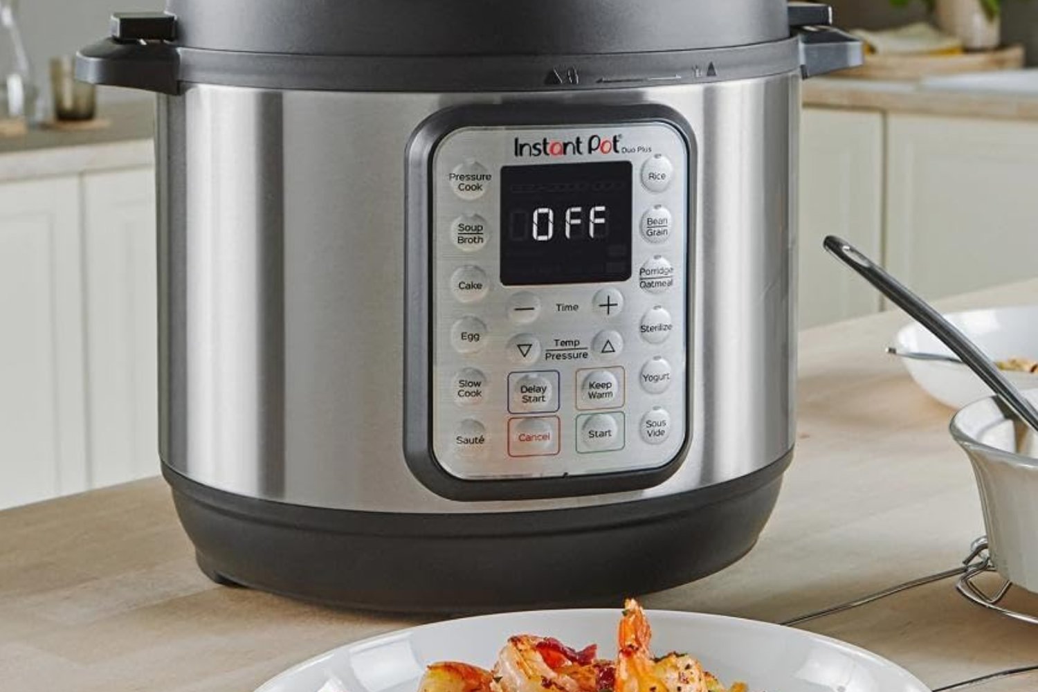 Instant Pot Duo Plus