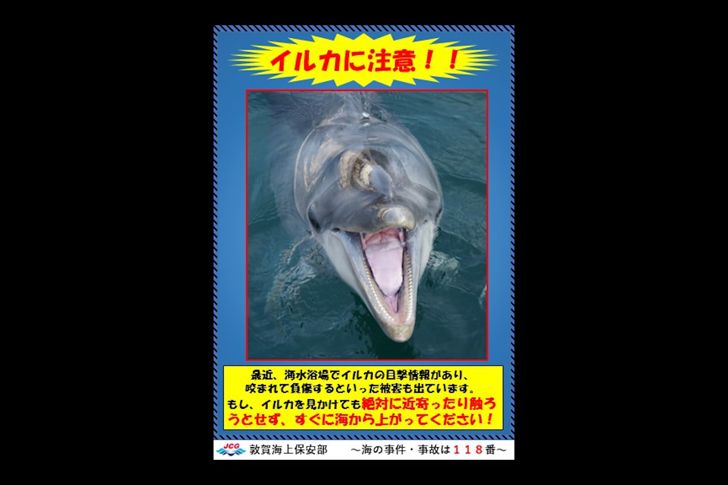 Image of a dolphin with a warning from Japan's Coast Guard.