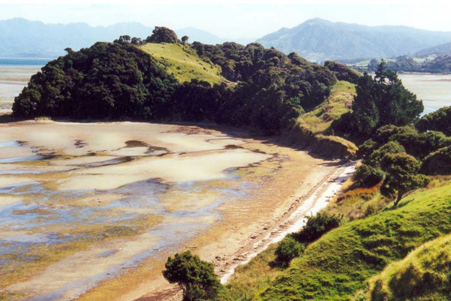 Photo of the island of Te Waipounamu