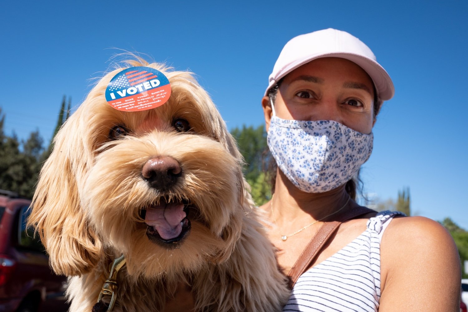 Tara Robinson voted but her dog Leo got to wear the sticker in the California recall election at a polling center set up at El Camino Real high school in Woodland Hills, CA Tuesday, September 14, 2021.